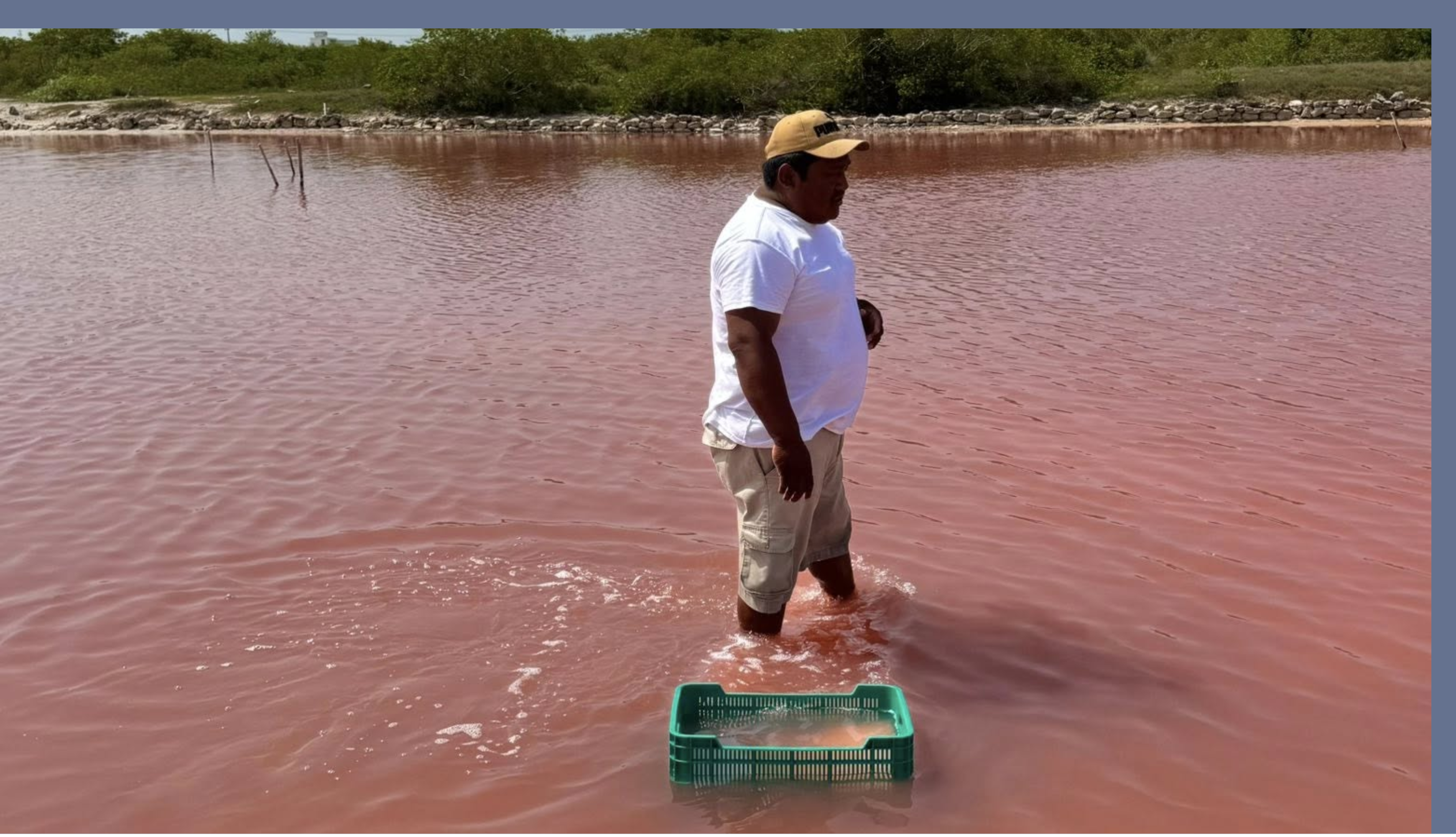 Persona en humedales trabajando en campo
