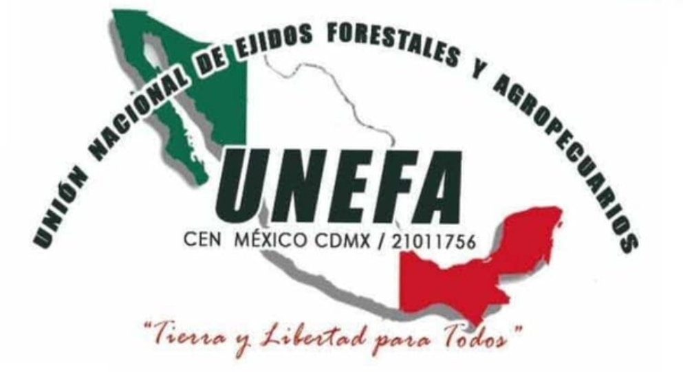 Logo de UNEFA